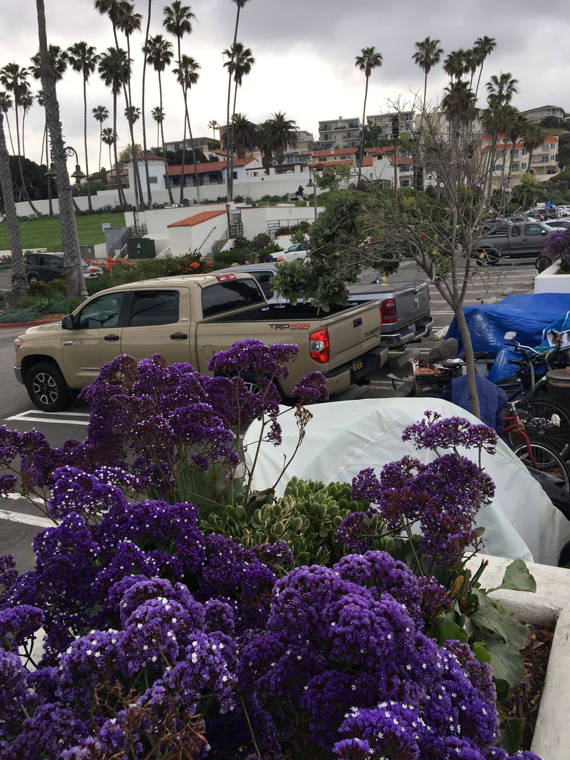 San Clemente Gene James Update: See For Yourself, Gene James on Video Abusing and Dehumanizing Homeless People