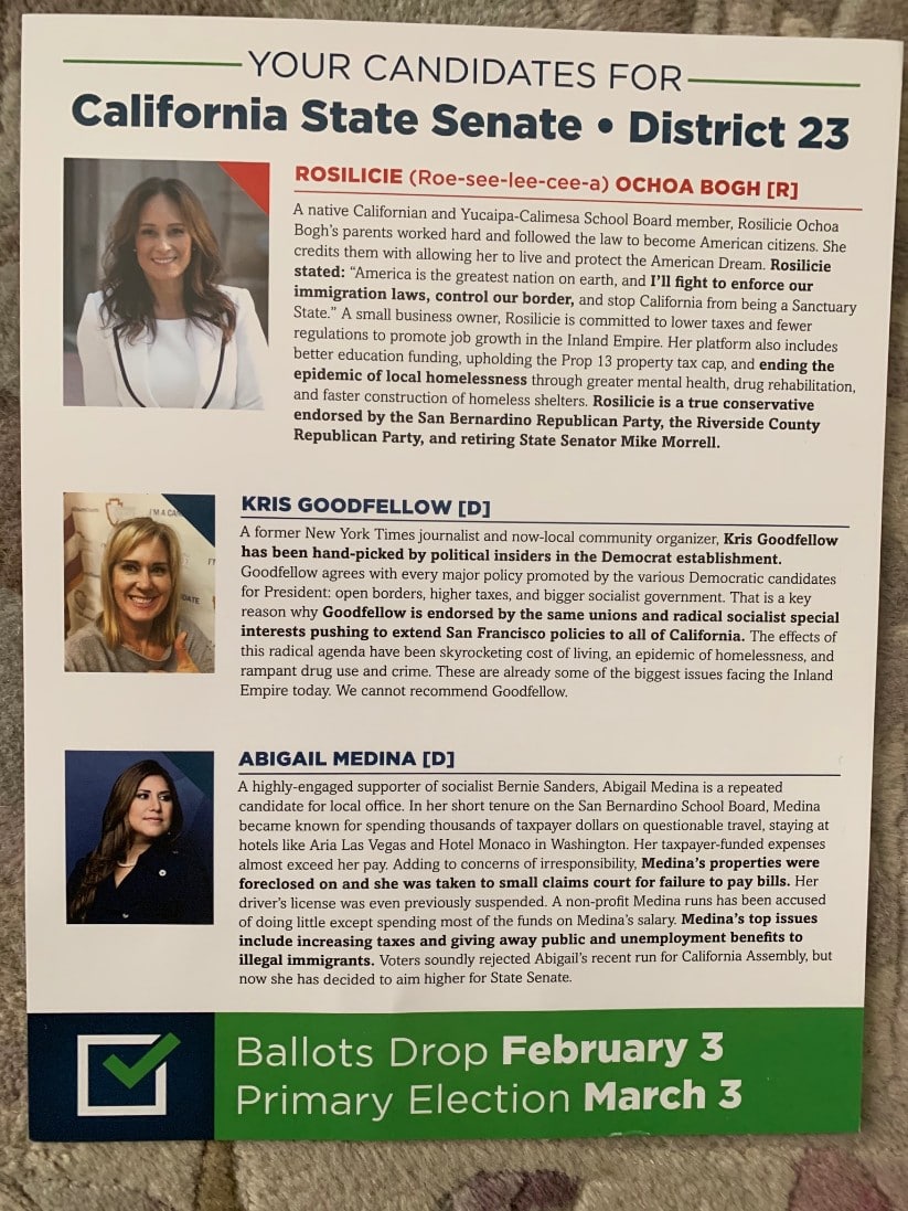 SD-23 Shannon Grove Rampage Update: Did They Vet Rosilicie Ochoa-Bogh? Did the CAGOP’s Donors Know Their Money Would Be Spent on a Rampage?