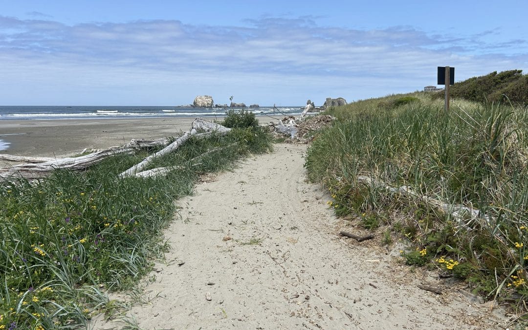 Team Andreatta Update! Your Intrepid Blogger Invites You To Visit Bandon Oregon!